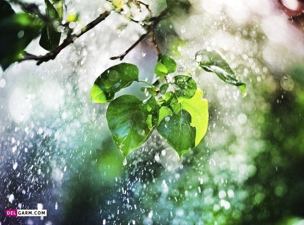  عکس هوای بارانی برای استوری