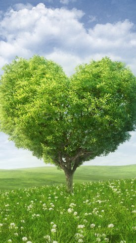  والپیپر برای گوشی اندروید جدید