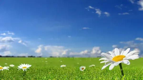  والپیپر خاص و شیک برای دسکتاپ
