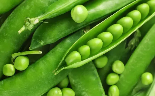  والپیپر خاص و شیک برای دسکتاپ
