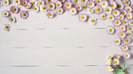  دانلود مجموعه بک گراند کامپیوتر