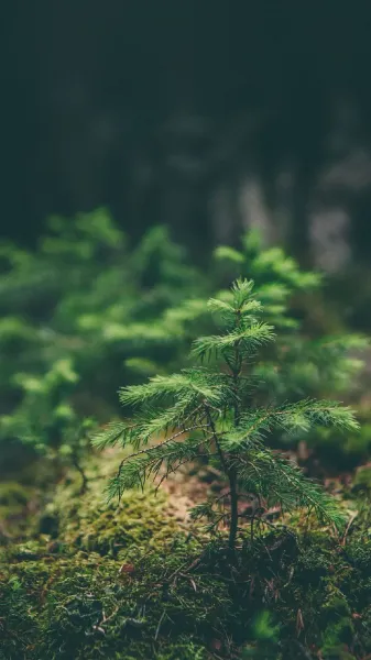 عکس طبیعت فوق العاده زیبا
