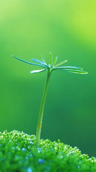 عکس طبیعت فوق العاده زیبا