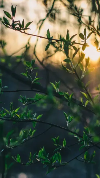 عکس طبیعت فوق العاده زیبا