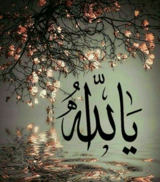  عکس استوری مذهبی زیبا جدید