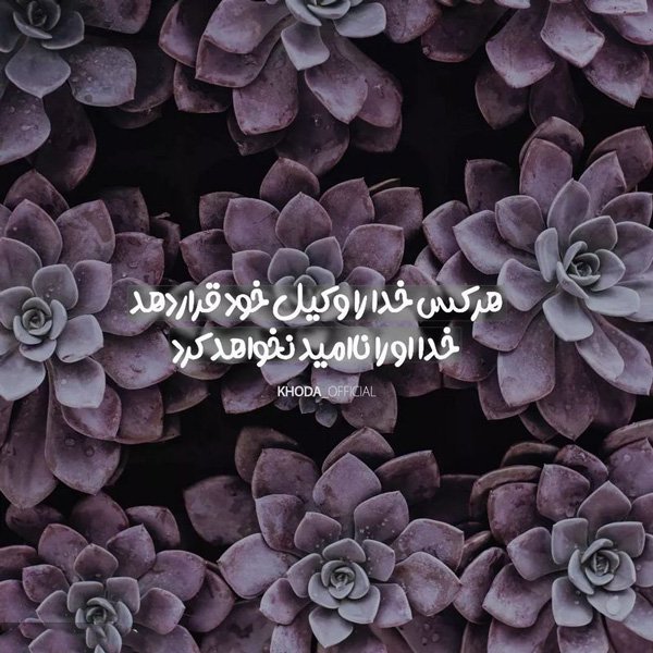  عکس های خوشگل برای استوری