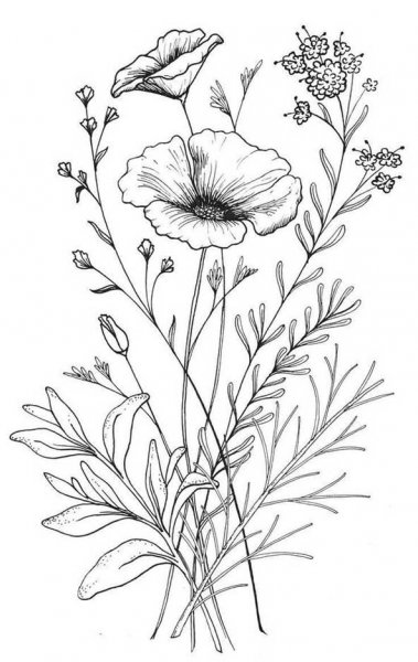 عکس هنری خفن