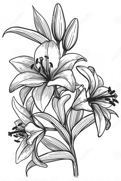 عکس هنری خفن