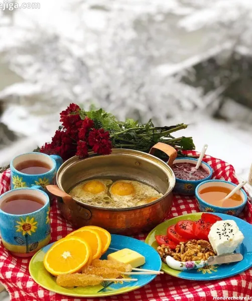  عکس صبحانه لاکچری در طبیعت