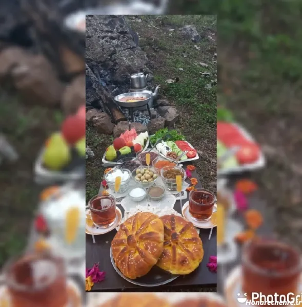  عکس صبحانه لاکچری در طبیعت