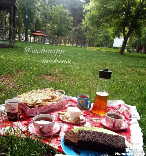  عکس صبحانه لاکچری در طبیعت