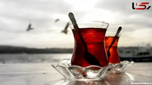  عکس صبحانه لاکچری در طبیعت