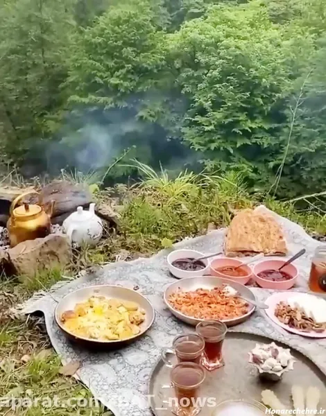  عکس صبحانه لاکچری در طبیعت