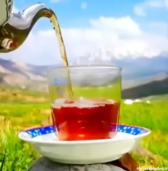  عکس صبحانه لاکچری در طبیعت