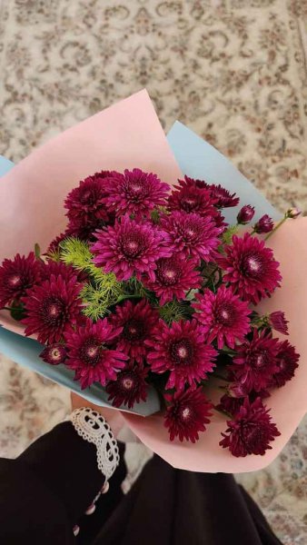  عکس استوری از گل های زیبا و خاص