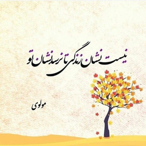  عکس نوشته اشعار مولانا برای پروفایل عاشقانه