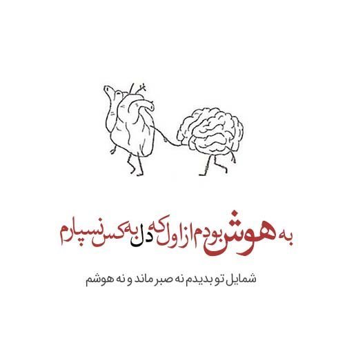  عکس شعر زیبا برای مدرسه