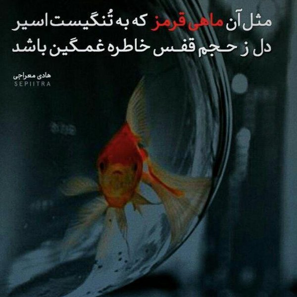  عکس نوشته های زیبا با کیفیت عالی