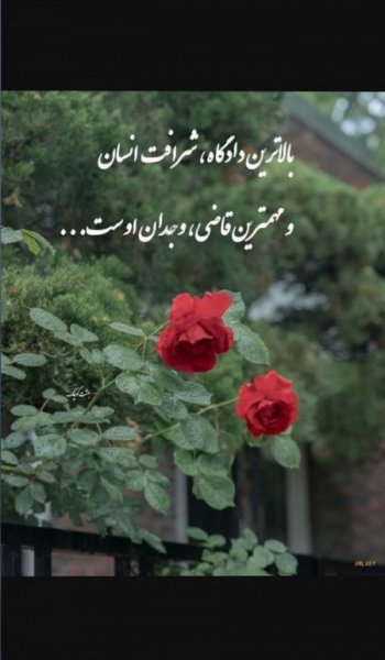  عکس نوشته ادبیات