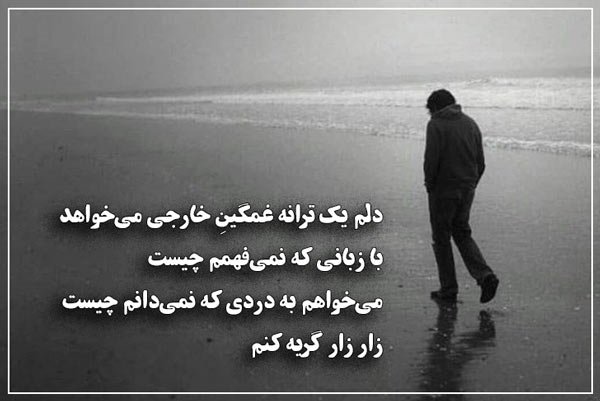 عکس پروفایل ادبیات فارسی
