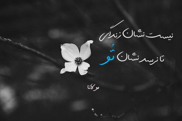 عکس نوشته شعر برای استوری