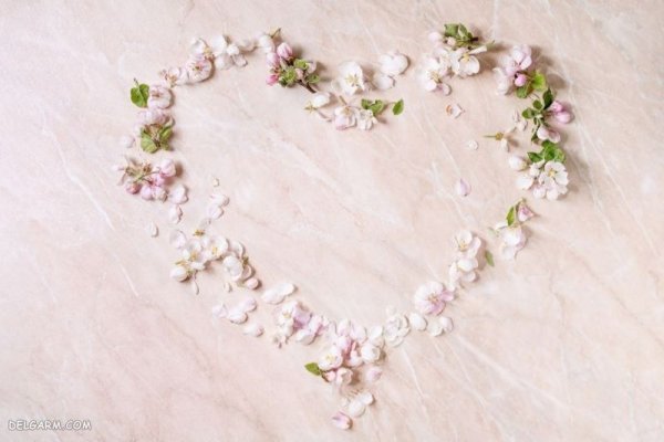  عکس گل برای پس زمینه گوشی موبایل