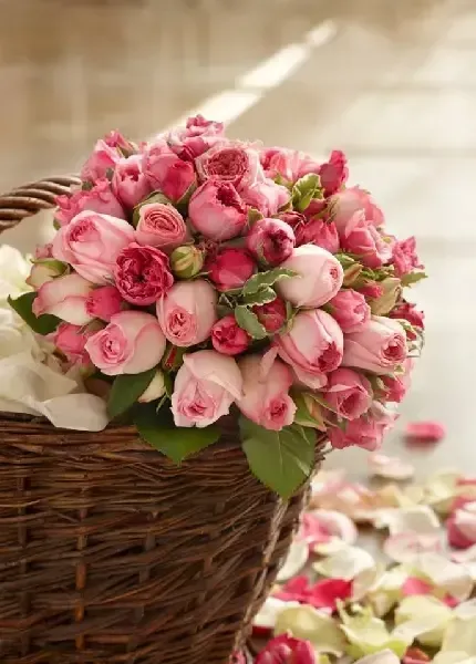  عکس گل برای پس زمینه گوشی موبایل