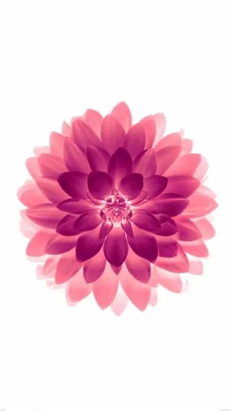  پس زمینه گوشی آیفون دخترانه
