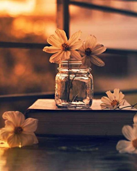  عکس پس زمینه گوشی موبایل باحال