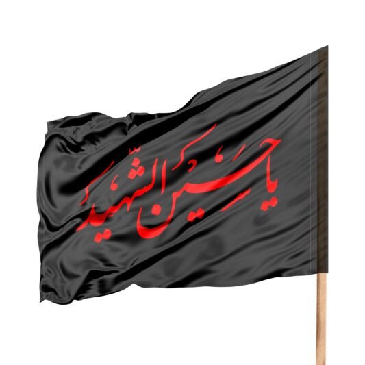 عکس یا حسین برای تصویر زمینه