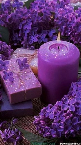 پس زمینه بنفش روشن