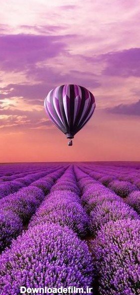 پس زمینه بنفش روشن