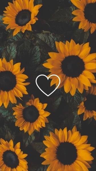 پس زمینه دارک پسرانه