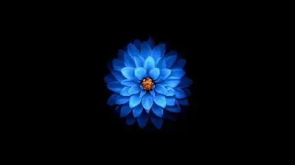  دانلود والپیپر 4k برای ویندوز 10