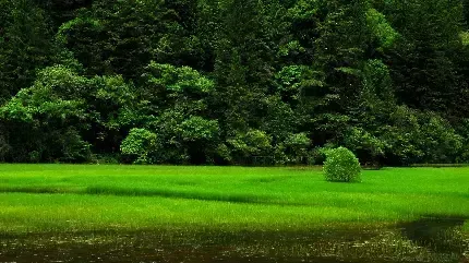  دانلود والپیپر 4k برای ویندوز 10