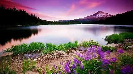  دانلود والپیپر 4k برای ویندوز 10