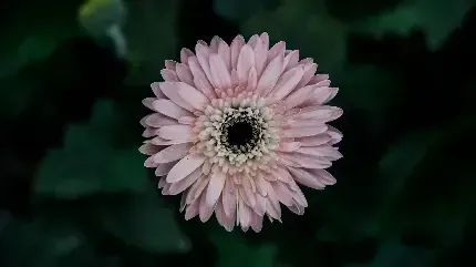  دانلود والپیپر 4k برای ویندوز 10