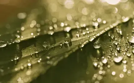  دانلود والپیپر 4k برای ویندوز 10