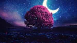  دانلود مجموعه والپیپر 4k