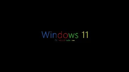  دانلود مجموعه والپیپر برای ویندوز 11
