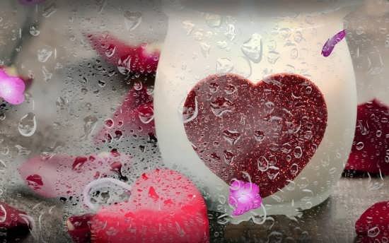 عکس قلب سیاه واقعی