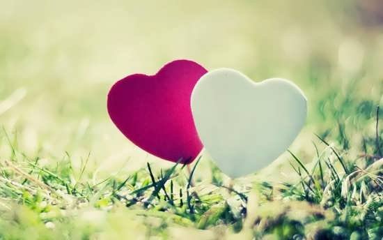 عکس قلب سیاه واقعی
