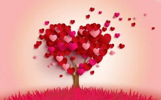عکس قلب سیاه واقعی