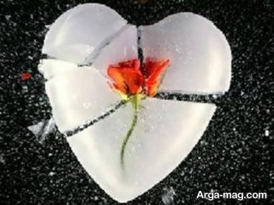عکس قلب سیاه واقعی