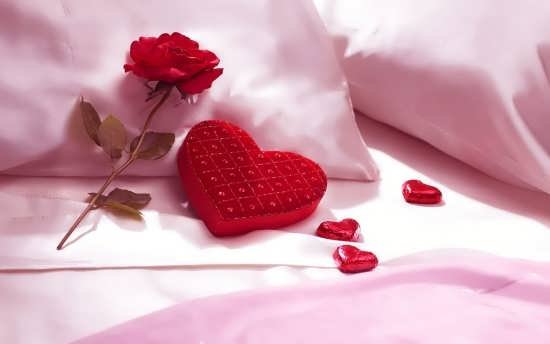 عکس قلب سیاه واقعی