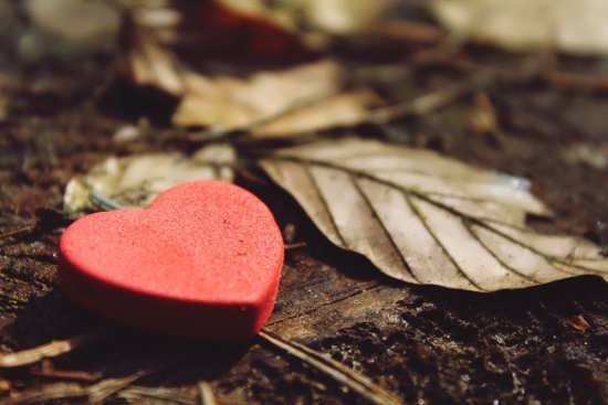 عکس قلب سیاه واقعی