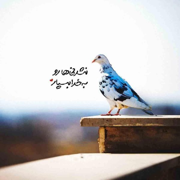 عکس نوشته خدا برای گروفایل تلگرام و واتساپ