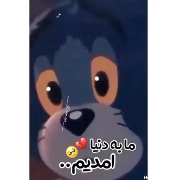  عکس تام برای پروفایل