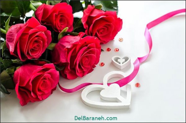  عکس گل های زیبا برای پروفایل