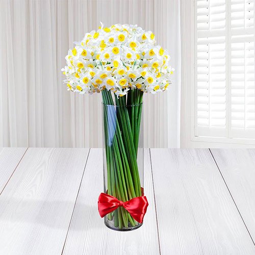  عکس گل نرگس برای استوری